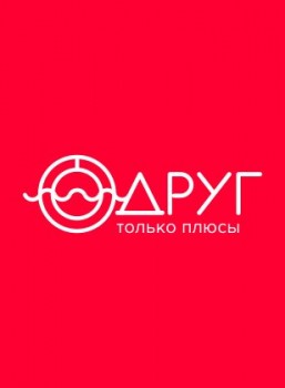 В Иваново создали оригинальную коалиционную программу «Друг»
